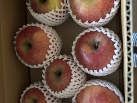 あどはだりしてまる！ふじと世界一が生んだ奇跡。葉取らずりんご美丘家庭用3kg