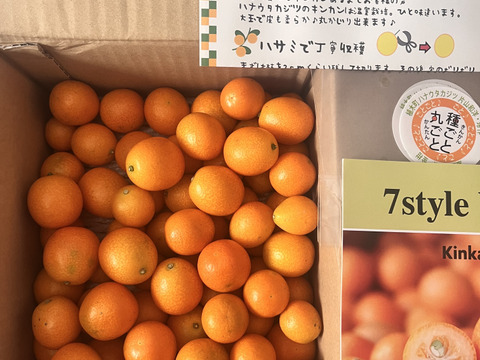 【家庭用】種ごと丸ごときんかん計1.5kg