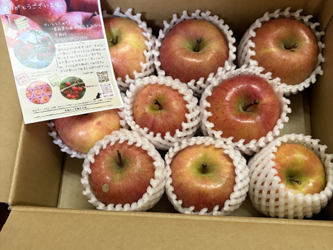 【数量限定！これで今季最後です】光るりんご🍎蜜がたっぷり『こうとく』規格外品１０個前後入り