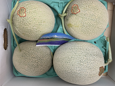訳あり品　富良野産 赤肉メロン 大箱（4～7玉）家庭用！
