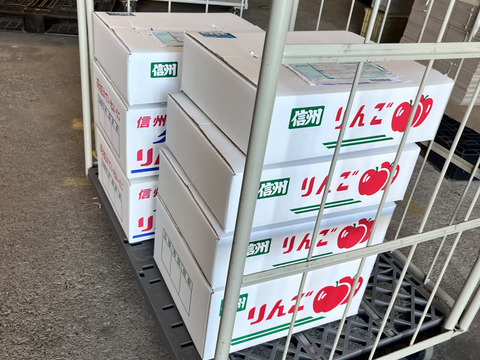 長野県産・完熟旬のりんご【サンフジ】約3kg