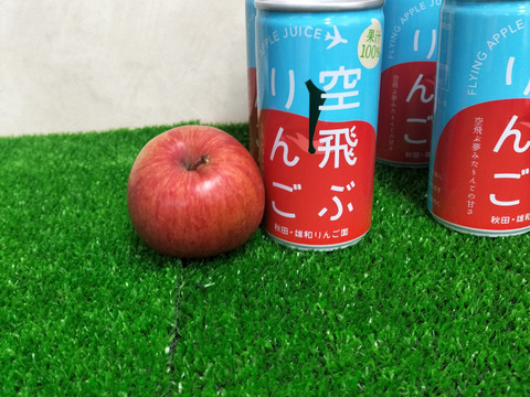 ☆空飛ぶ夢みたりんごの甘さ☆りんごジュース（缶タイプ）