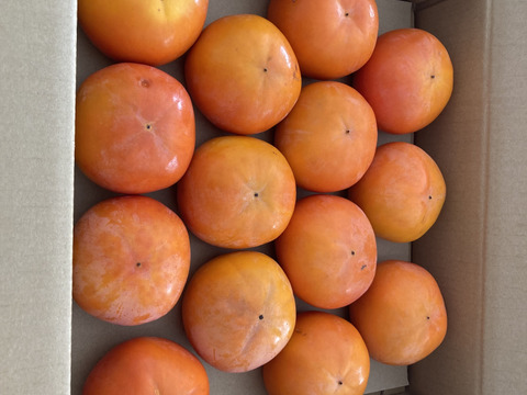 和歌山県産　富有柿（家庭用）L.2Lサイズ