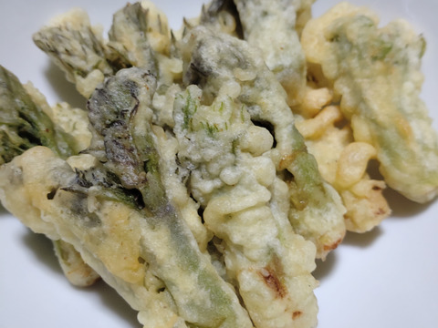 期間限定！山の恵みセット‼︎山菜椎茸詰め合わせ
天然山菜2種 約500g(ウルイ、こごみ、タラの芽、ウド等)と
椎茸300g