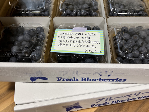 【贈答用】摘みたて　農薬不使用　千葉県産　生ブルーベリー　100g×6パック　2セット　1,2kg
