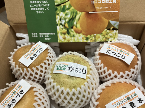 【旬の梨食べ比べ‼️3～5品種】何が届くかお楽しみ😋贈答用2.5kg以上、豊水・あきづき・かおり・あきあかり・二十世紀・南水・にっこり・新高・王秋・新興・愛宕の中から3品種以上詰め合わせます‼️