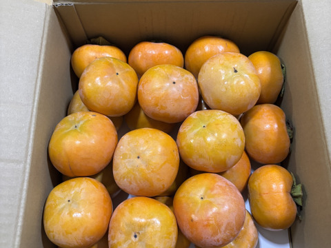 和歌山県産　富有柿　極甘(家庭用)5kg　M～2Lサイズ