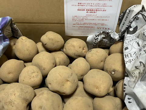 訳アリ氷温熟成じゃがいも　キタアカリ　10㎏