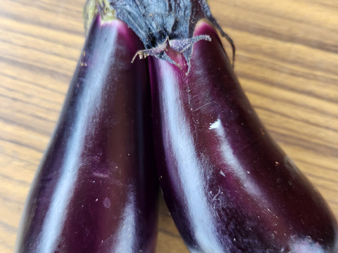 旬のおまかせ野菜セット ！！