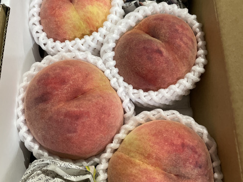 だて白桃～伊達じゃない硬めの桃～　訳あり　１．５ｋｇ（４～９玉）
