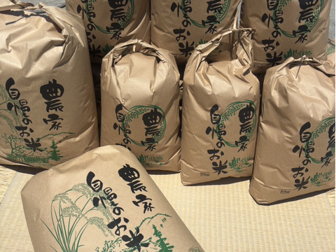 新米　白米 5kg　キヌヒカリ 令和7年度産 熊本県産 無洗米　hiroファーム