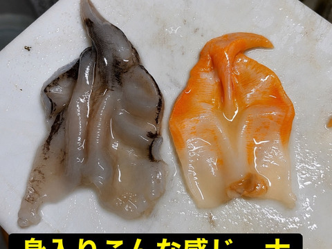【幻の高級貝】天然 金とり貝 100〜160g
超特大サイズ｜肉厚・濃厚な甘み｜寿司屋品質をご自宅で！1キロ