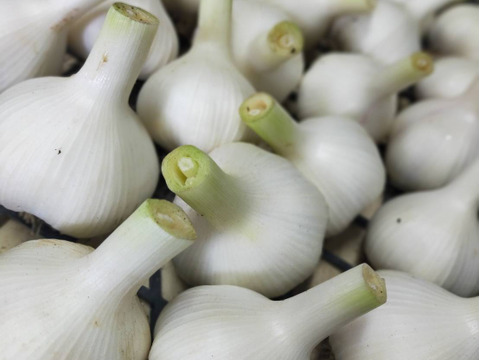 【美味しい野菜をお届けします】　季節の野菜セット『採れTakara☆彡』11品前後