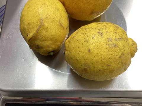 訳あり最終１ｋｇ800円何時もおり同梱ＯＫ8セット限り