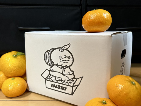 【甘み＆食べやすさ】の二刀流！西果樹園みかんの代表格！西幸みかん【早生みかん2.5キロ】🍊