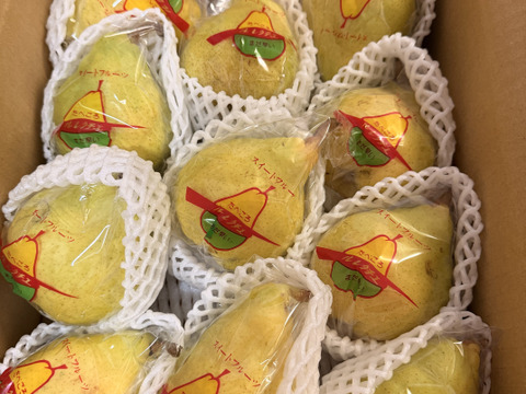 今が旬！高級洋梨 ル・レクチェ（約3kg 9~11個入り）【冬ギフト】