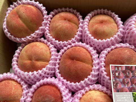 ８月１０日からお届け🍑朝採れ『あかつき』３Kg箱入り　８個から１４個入り
