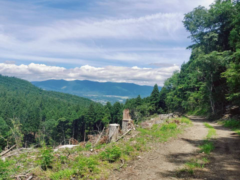 【貴族が選ぶ完成形】脂と赤身の黄金比 極上”猪ロース” 野性×気品が共存するジビエの真髄🍖お試しキャンペーン約200g