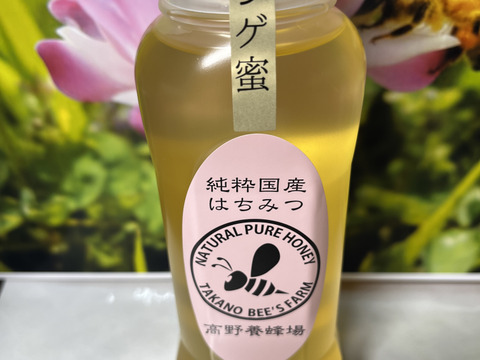 【1kg×4本】国産純粋はちみつ（賞味期限2025年4月 2025年春.極上のレンゲ新蜜採れました！ 【7月は20本限定販売