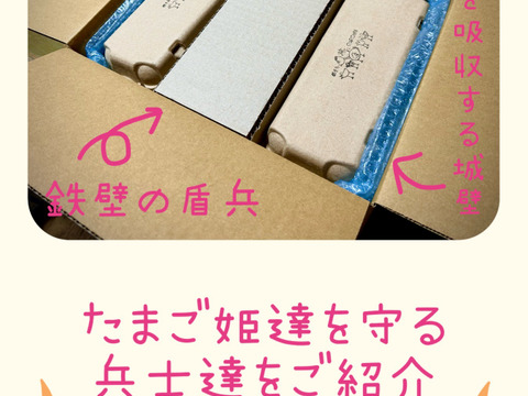 【定期購入専用】
☆＊【安納芋の甘みがギュッ‼️】＊☆
っと詰まった夢まる自然卵(10個入り6箱)