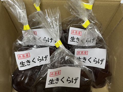 福岡県糸島産生きくらげ約70g×5個(約350g)