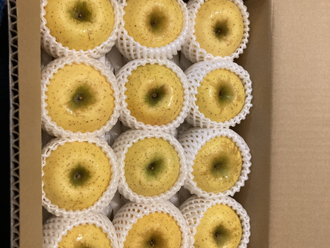 絶妙な酸味と甘み！岩手江刺産【シナノゴールド】家庭用３㎏