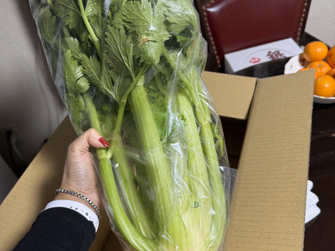 もうスーパーには戻れない！？本物のセロリ！