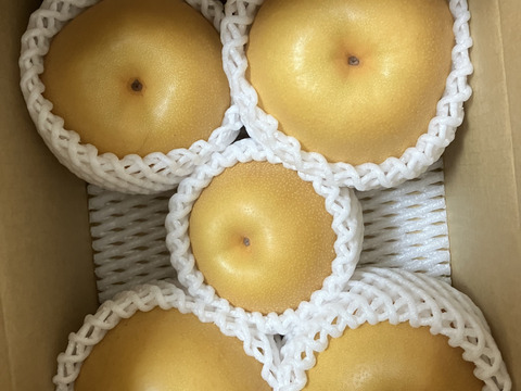 【ご予約品】絶妙な見極め！甘くなるまで待った豊水(5kg) 【贈答用】