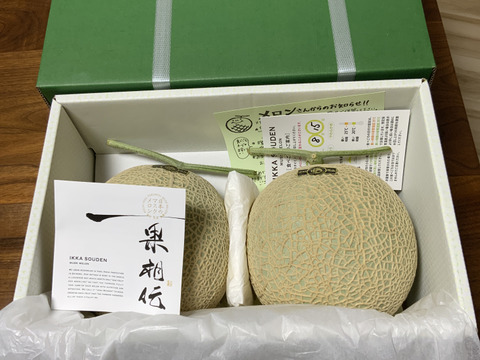 【春ギフト】贈答用マスクメロン2玉箱入り「熨斗対応可」