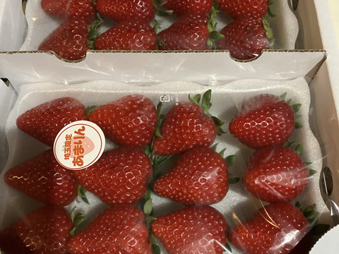 埼玉県産いちご　あまりん