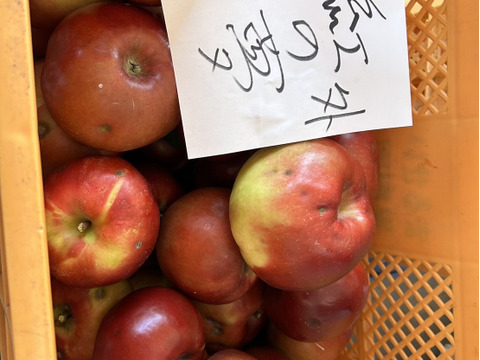 まるせい果樹園の紅の夢　訳あり　加工用　自家用　家庭用　　3kg　(6～15玉入り)　玉数指定不可　ｒｙ1