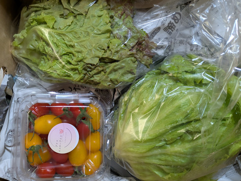 和美様専用‼️おまかせ野菜セット‼️