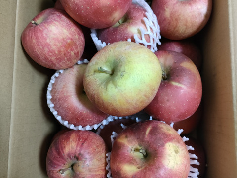 信州りんご🍎４キロパック詰め