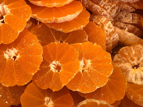 せとうち周防大島　みかんジャム