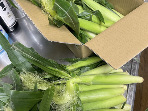 【旬のヤングコーンを新鮮に】期間限定！皮つききみひめヤングコーン　60サイズ箱満タン詰め！30本前後になります！