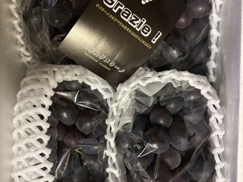 終了間近‼️【クール便】知る人ぞ知る幻の品種 高尾ぶどう 3-4房