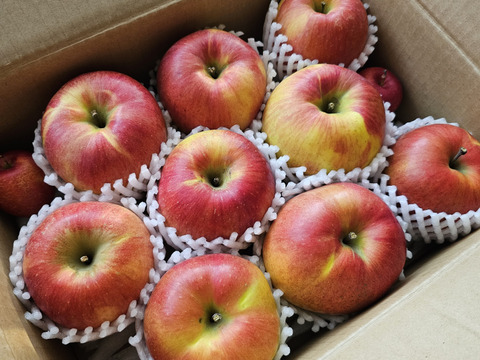 【残りわずか】長野生まれのレア品種！あいかの香り　約3kg