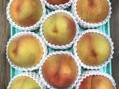 黄金桃9玉　A級