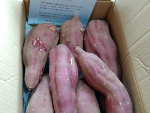 完売間近‼️ガッツリさん向け❣️ホクホク食感！【 紅あずま】 4.8kg