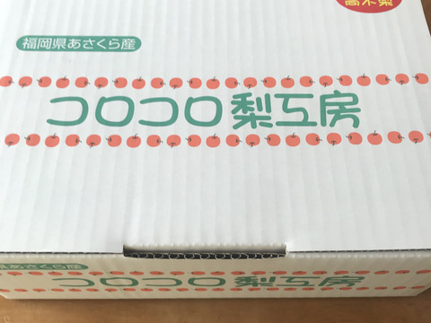 【激レア品種①】とにかく甘い‼️あきあかり梨✨️約2.2kg(5-7個入)糖度13度越‼️ 幸水・豊水より甘い!‼️キメ細かでなめらかな果肉、とってもジューシー💦日持ち良し😋