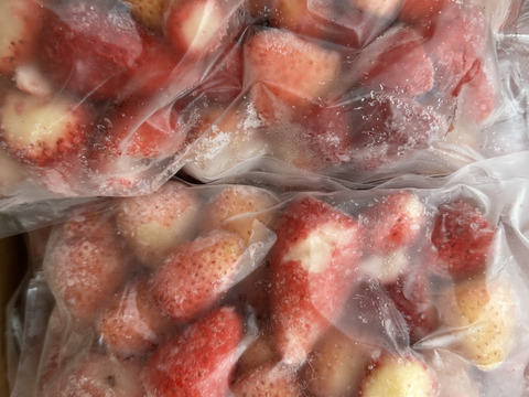 ※訳あり※冷凍いちご 【500g×2袋入り】イチゴ農家 直送