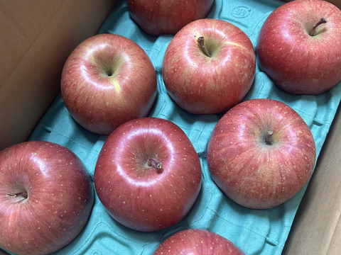 大玉から順に発送‼️とことん味にこだわりました💪😊🍎青森県産完熟葉取らずふじ家庭用キズあり約3kg‼️