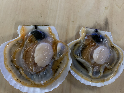 【訳あり！お買い得！】規格外品ホタテ２年貝〈2kg〉