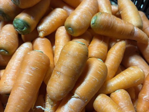 『訳あり』形悪くたって食べて欲しい人参 5kg