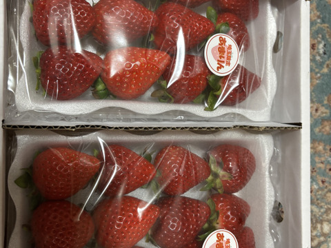 埼玉県産いちご　あまりん