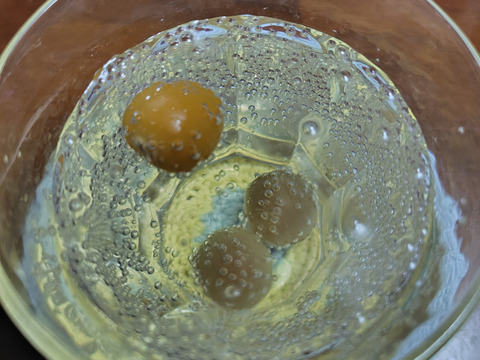 甘さと豊潤な香りそのまま！冷凍ほおずき２キロ　農薬・化学肥料不使用栽培。半解凍でそのまま食べても、冷凍状態のままジャム、シロップ、果実酒に加工しても超絶美味。他の果実にはない美味しさと栄養価たっぷり。