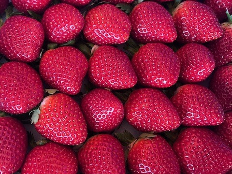 濃い味！The Berry(スターナイト）　約300ｇ×2ｐ