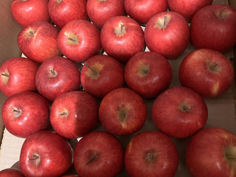 【小玉】人気急上昇！あま～いりんこ　奥州ロマン　約5キロ