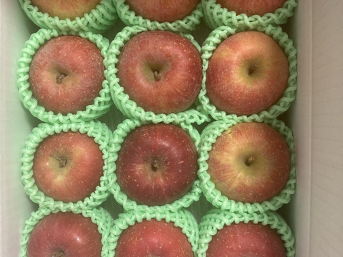 まるせい果樹園の節分りんご　訳あり　3㌔　自家用　家庭用 hs2