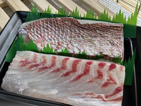 【福袋2025】めでたい！　「8,000円相当」天然真鯛と天然ひらめの２尾セット　１尾　約1kg(0.8～1.3kg)